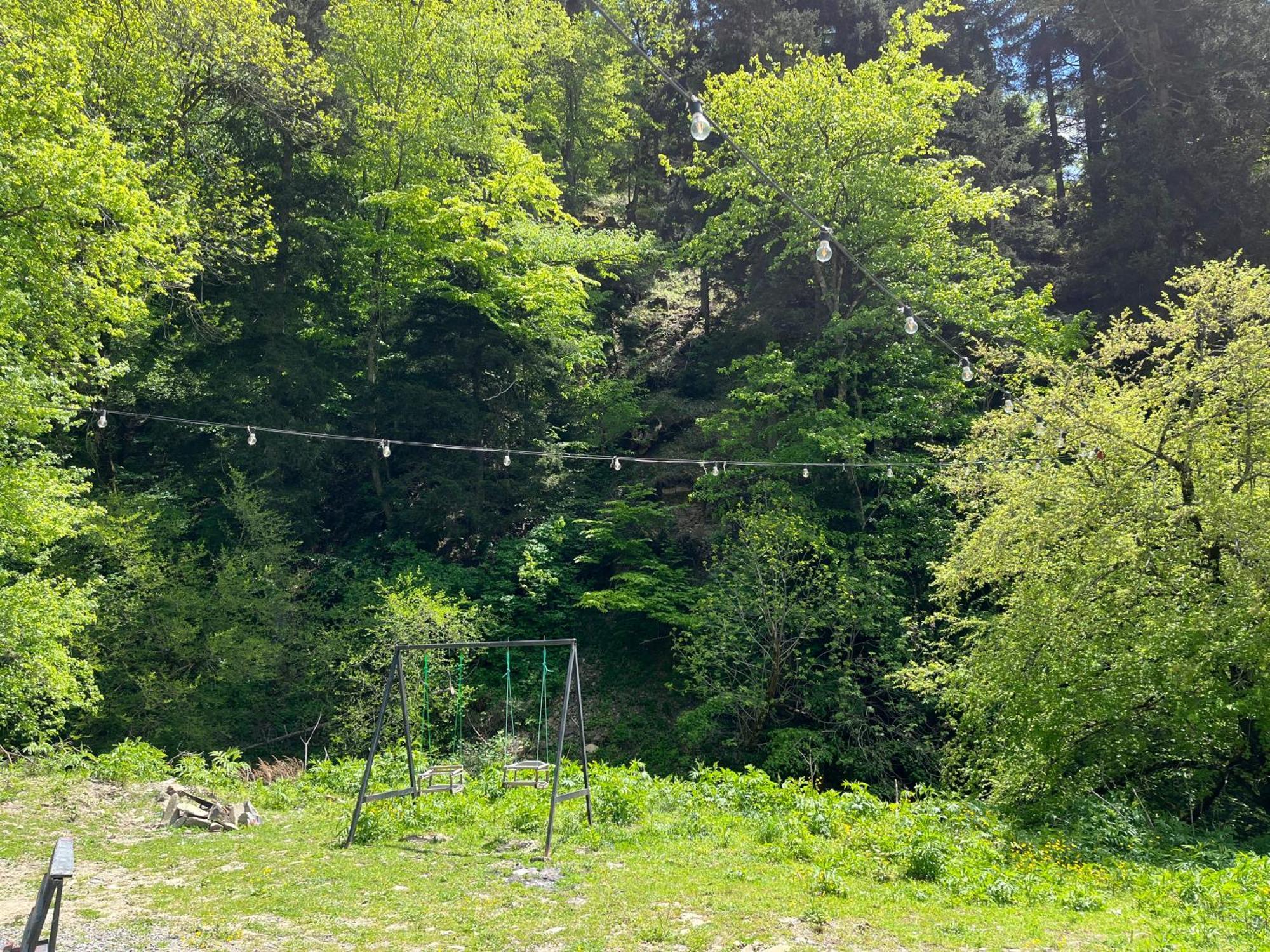 Cozy House In The Forest Borjomi Exterior photo